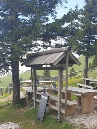 Crnuski Dom Gostinjska kuća *