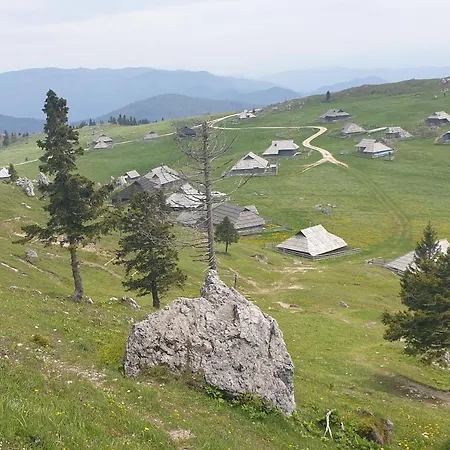 Crnuski Dom * Krivcevo